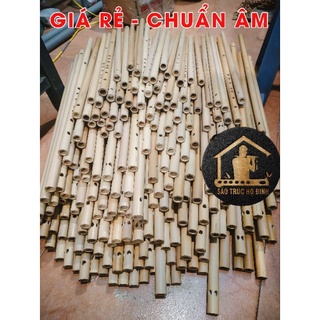 SÁO TRÚC GIÁ RẺ SNC02 - HSSV