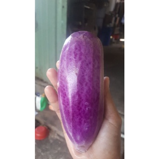 20 HẠT GIỐNG CỦ CẢI HÀN QUỐC TÍM ( CỦ CẢI VUA)