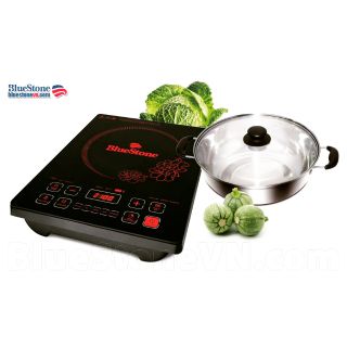 Bếp Từ Bluestone ICB 6667
