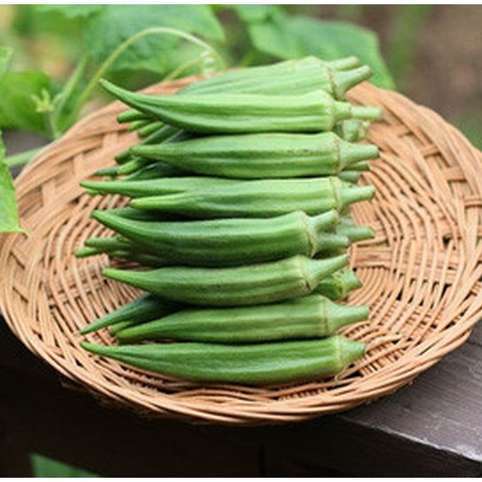 20gr - HẠT GIỐNG ĐẬU BẮP