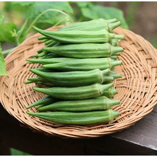 20gr - HẠT GIỐNG ĐẬU BẮP