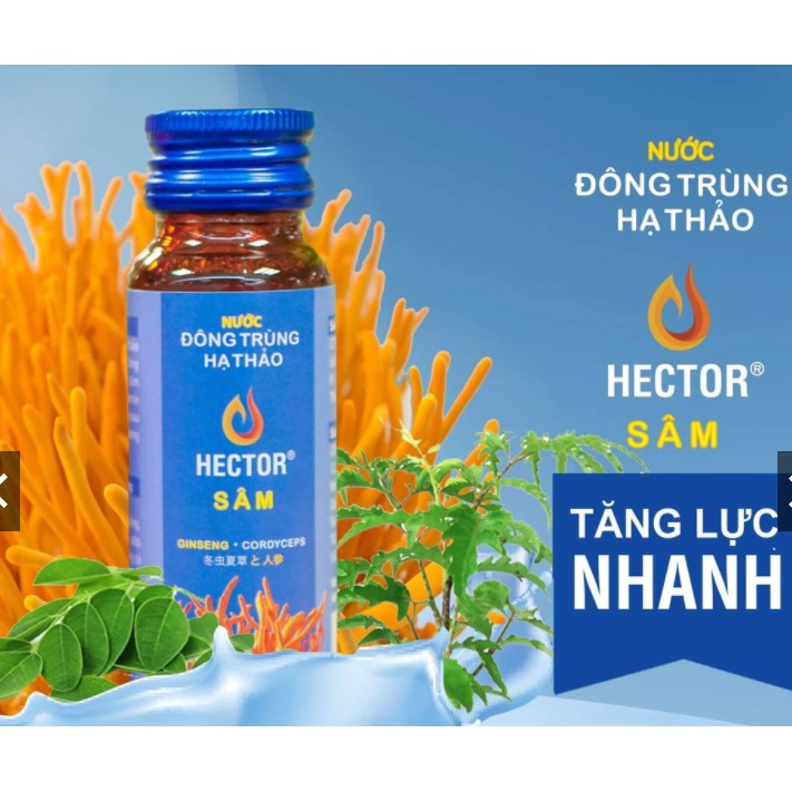 (GIÁ HUỶ DIỆT) Đông Trùng Hạ Thảo Hector Sâm - 10 chai | BigBuy360 - bigbuy360.vn
