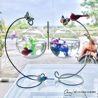 [Tặng kèm phụ kiện ] combo 2 bể cá mini 33