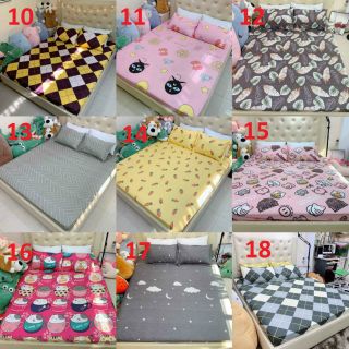 Bộ ga và 2 vỏ gối cotton poly