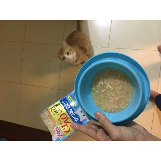 Súp Ciao cho mèo 40g
