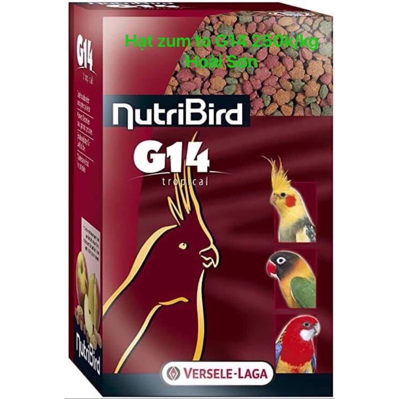 Hạt zum to G14