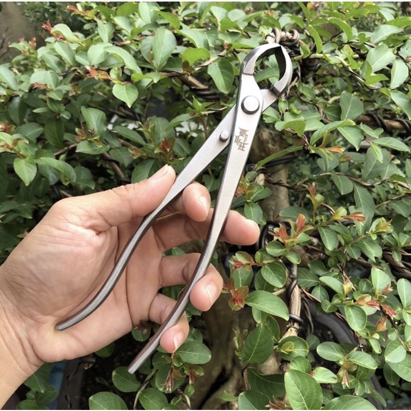 Kìm cạp tròn cạp xéo ,thép đúc trắng liền khối dụng Cụ bon sai cây cảnh