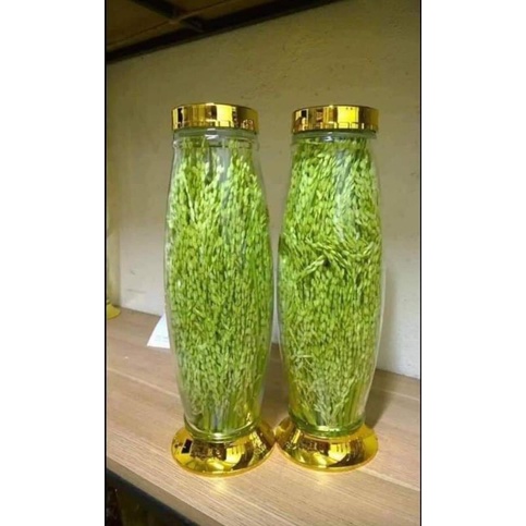 Đòng đòng ngâm rượu