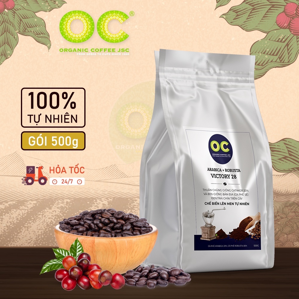 Cà phê rang say nguyên chất Robusta Blend VICTORIA 28,Cafe hữu cơ pha phin và pha máy nguyên chất từ Organic Coffee JSC