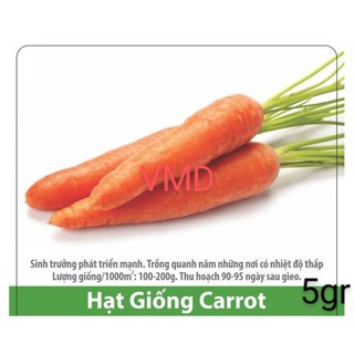 Hạt giống Cà Rốt