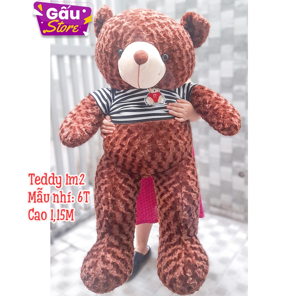 Gấu bông teddy khổ 1m2 (chiều cao đứng 1m) lông xoắn mềm mịn nhồi bông cao cấp (nhiều màu)