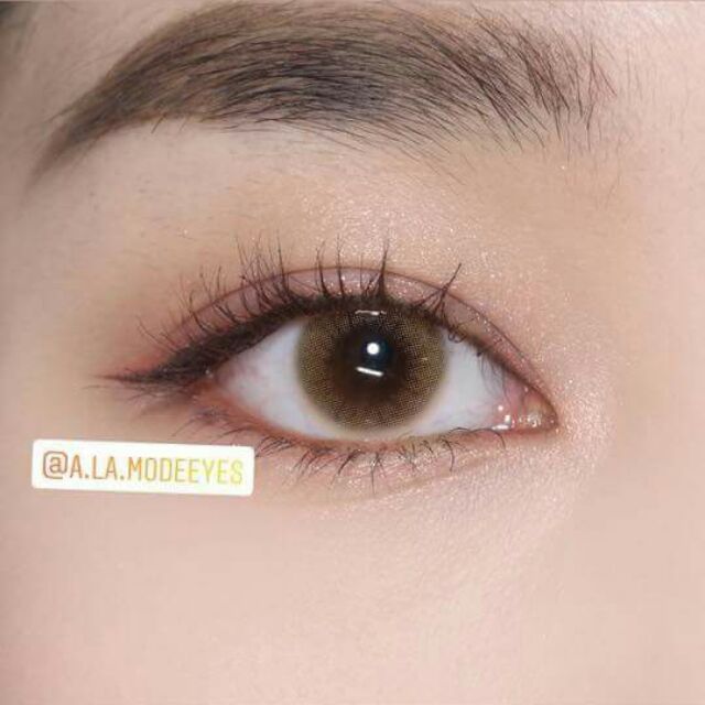 Combo ( Lens + Ngâm + Khay gương ) / Lens Brown không độ