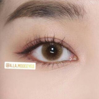 Combo / Lens Brown không độ