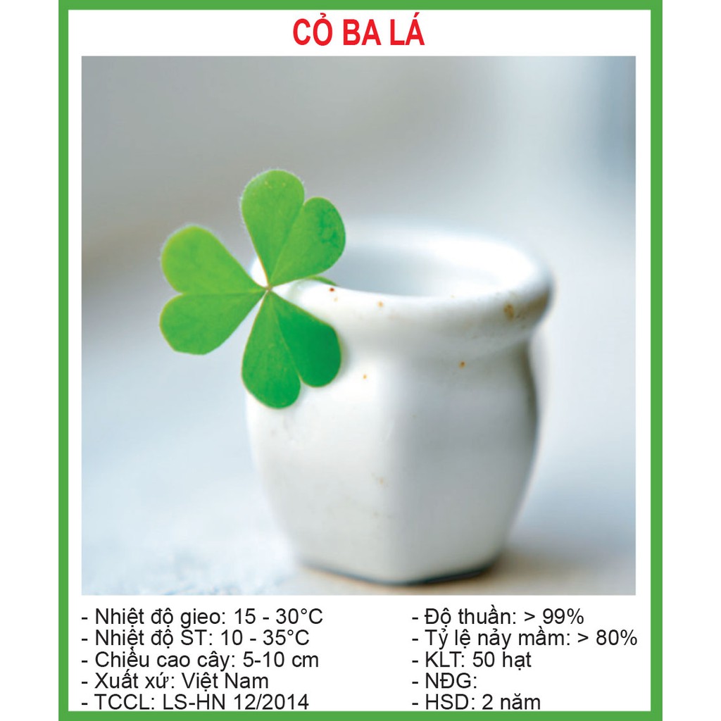 Hạt Giống Cỏ Ba Lá 50 Hạt/ Gói