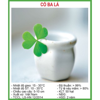 Hạt Giống Cỏ Ba Lá 50 Hạt/ Gói