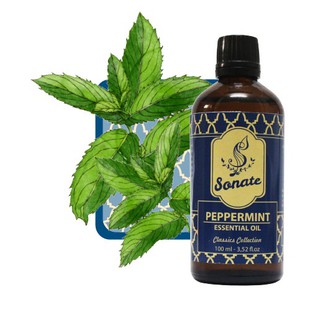 Tinh dầu xông bạc hà 100ml