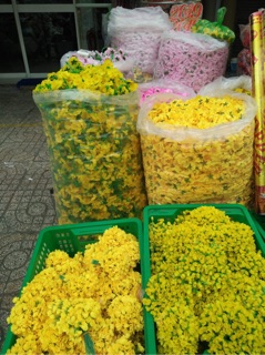 HOA ANH ĐÀO