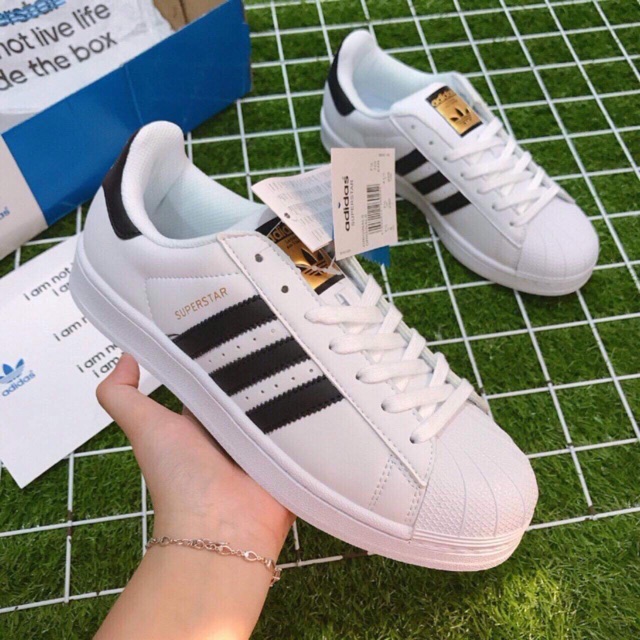 Giầy super starrr