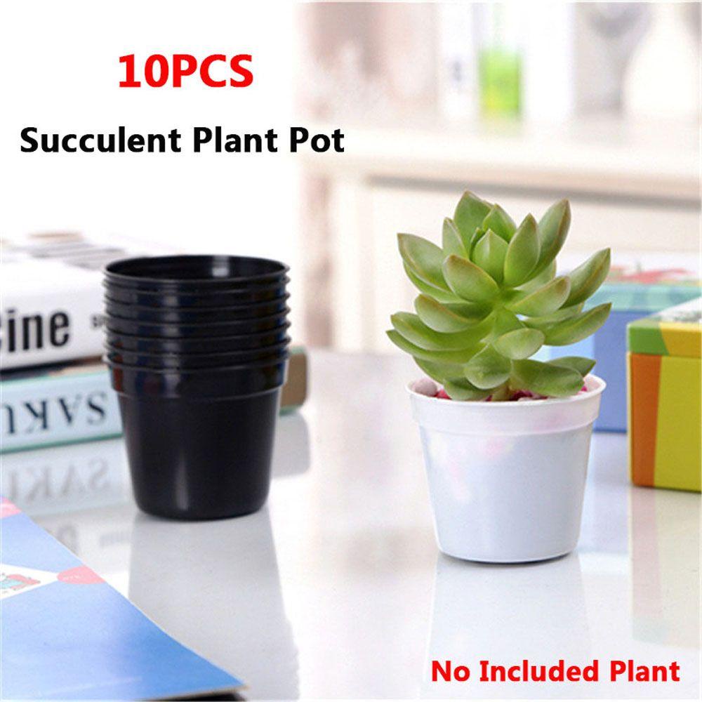 Set 10 Chậu Nhựa Trồng Cây Tiện Lợi