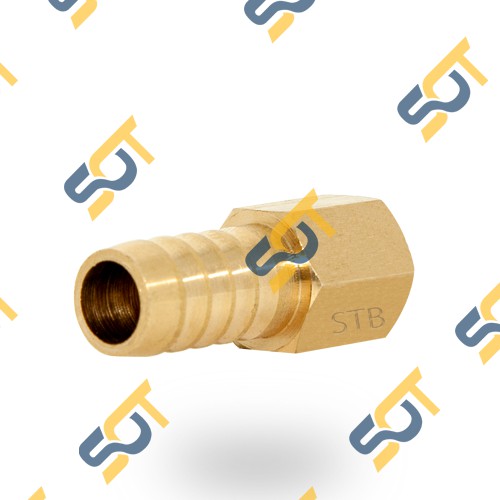 Ren trong 1/8 (9.6) đuôi chuột nối ống mềm - Đồng thau (Brass airline fitting female hose connector, béc búp RT)