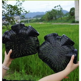 Lồng bẫy đánh lươn, tôm, cua, cá 3 cửa dễ vào mà khó ra