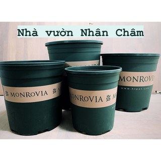 Chậu nhựa trồng cây cao cấp Monrovia Trung Quốc 1GL ( Tặng kèm đĩa lót )