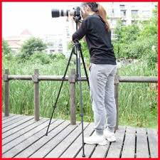 Chân Máy Ảnh Tripod Weifeng WT-3520, khung nhôm , cao 1.4m chịu tải 3kg, chụp hình từ xa, có móc treo và túi đeo