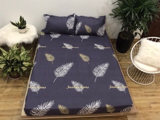 Ga chống thấm cotton 2 in 1