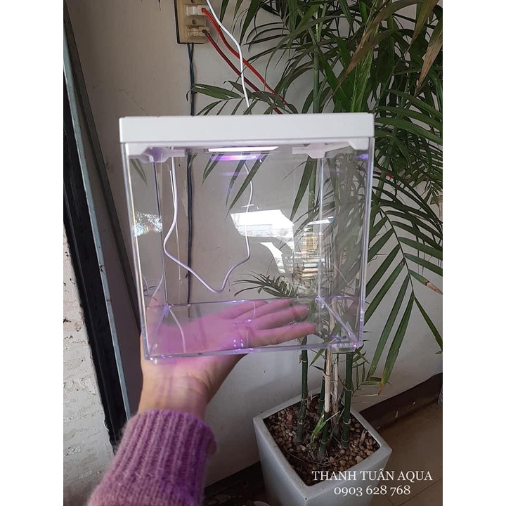 SOBO M-B02 - Mini Pet Box | Hồ Arcylic mini show cá Guppy/Betta có nắp và đèn chiếu sáng