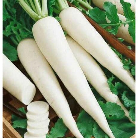 Gói 200 Hạt giống củ cải trắng