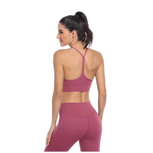 bộ đồ tập gym áo chư Y cao cấp