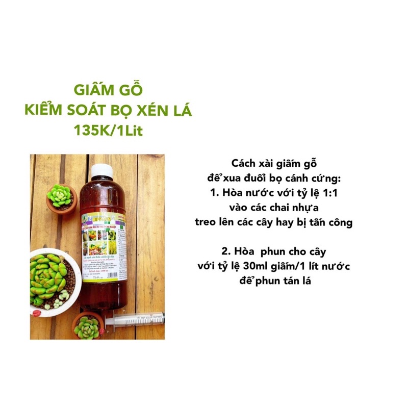 GIẤM GỖ XUA CÔN TRÙNG