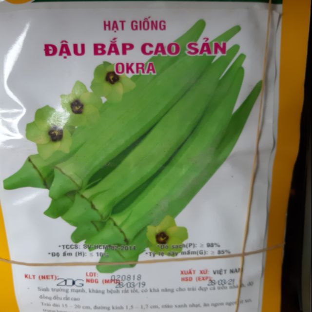 Hạt giống đậu bắp