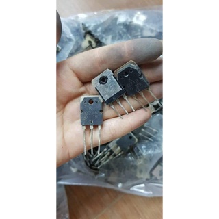 Combo 20 con B688 chân dài Lưng đồng