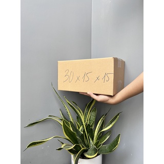 Hộp carton shipcod size 30x15x15_Combo 50 hop carton dong hang_Thung giay carton dong hang gia re