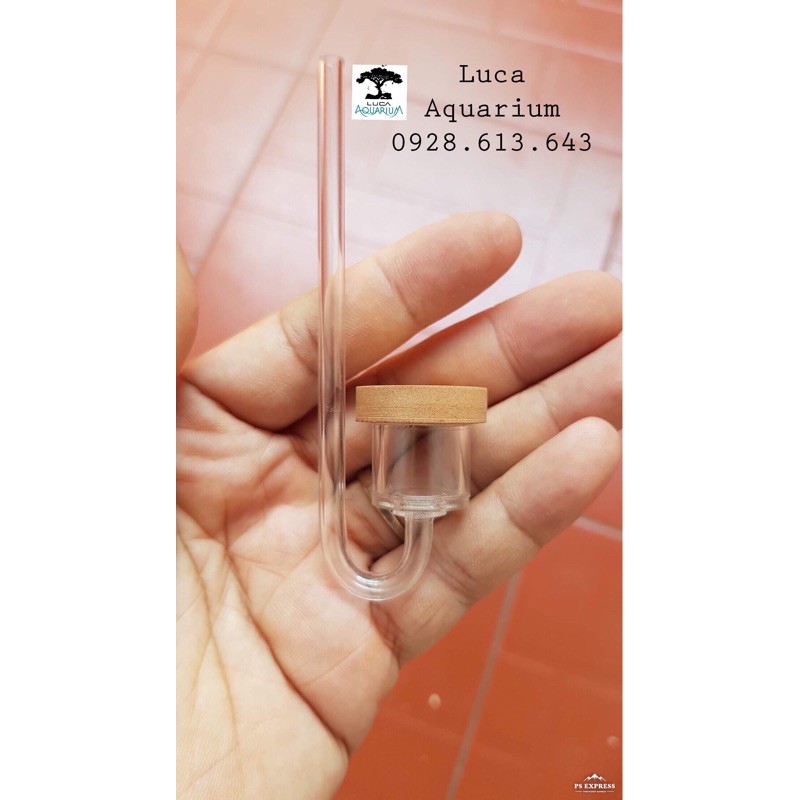 Sủi Co2 size L DIY siêu mịn - Luca Aquarium