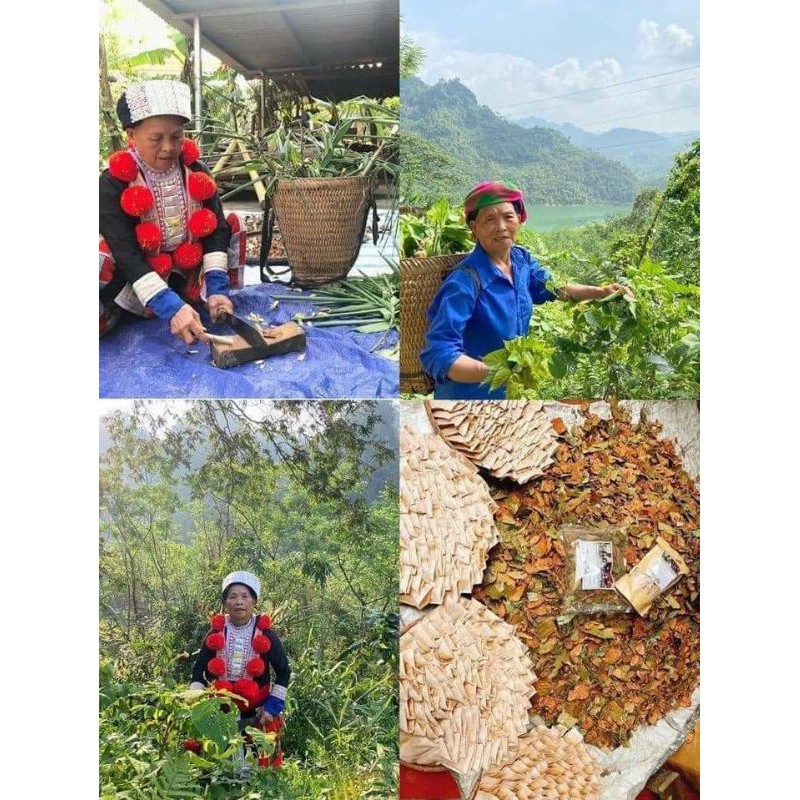 LÁ TẮM SAU SINH DÂN TỘC DAO ĐỎ