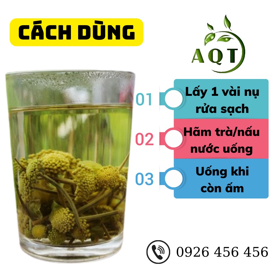 Nụ Hoa Tam Thất Bao Tử 1KG (Loại Xịn, Non, Thơm), Trà Tam Thất Giúp Ngủ Ngon, Hạ Huyết Áp