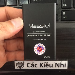 Pin masstel a300