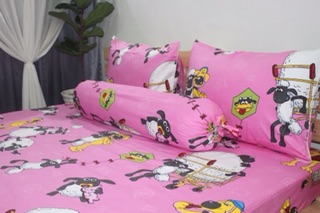 Bộ drap cotton 100%