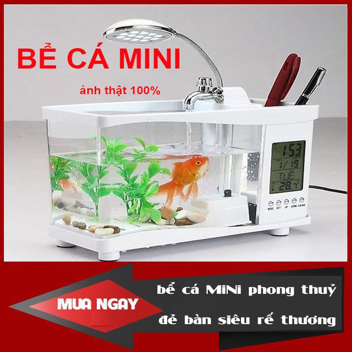 Bể Cá Mini Kiêm Đồng Hồ Để Bàn Siêu Dễ Thương Màu Ngẫu trắng (có tặng kèm đá và cây cảnh)