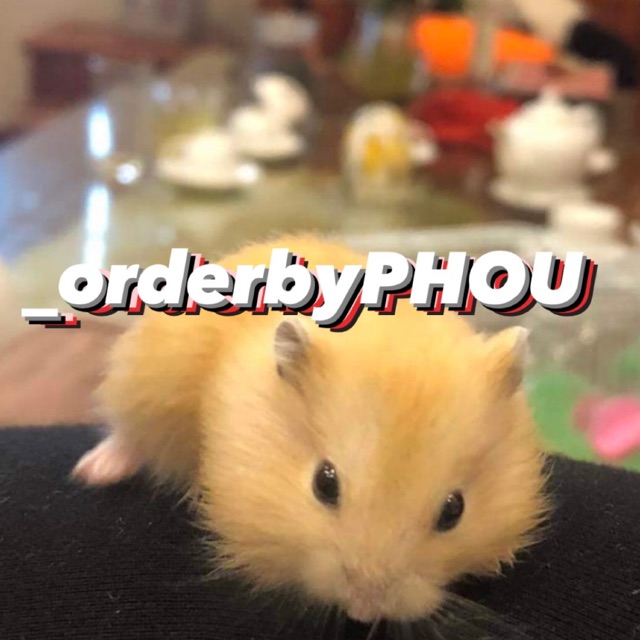 phou.theorder