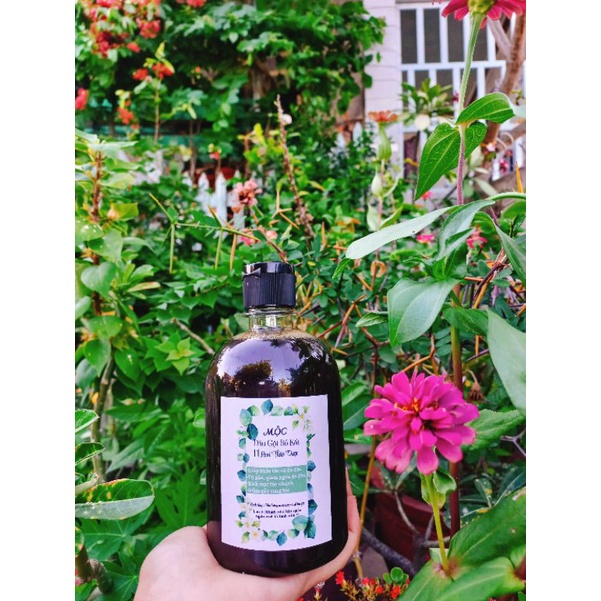 🌱Dầu gội bồ kết ,dầu gội thảo dược cô đặc💆giảm gàu, ngăn rụng tóc, mọc tóc handmade (chai 500ml)