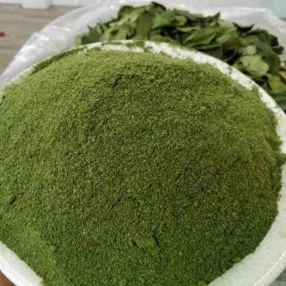 Bột găng lá găng