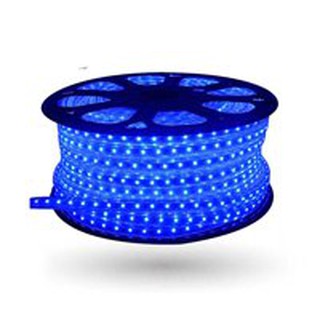 Led dây 5050 Đèn LED dây 5050 đơn sắc Trắng; Vàng; Xanh dương; Xanh lá; Đỏ; Nhiều màu