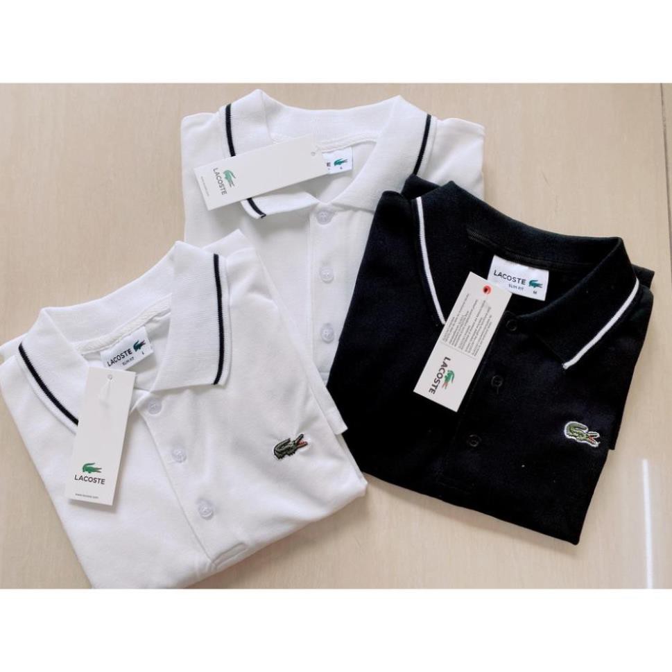 [ Hàng Xuất ] Áo Phông Nam Lacoste / Áo Thun Nam PoLo Cá Sấu Có Cổ ( A001 ) | BigBuy360 - bigbuy360.vn