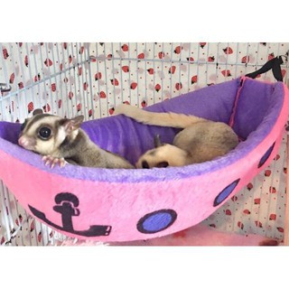 Nhà ngủ bông/Võng cao cấp phi thuyền cho Sóc Bắc Mỹ, Sóc Bay Úc, Sóc Bông, Sóc Đất...