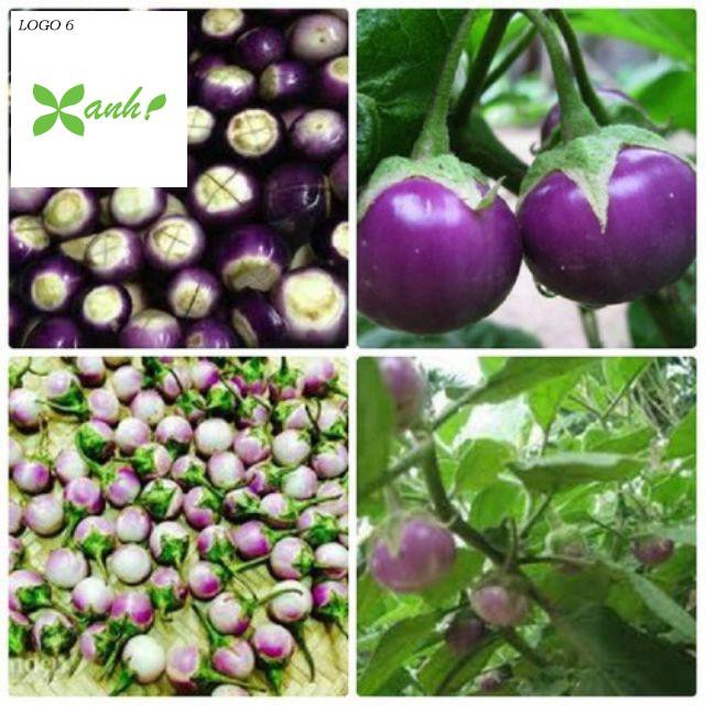 Hạt Giống Cà Pháo Tím 50 HẠT