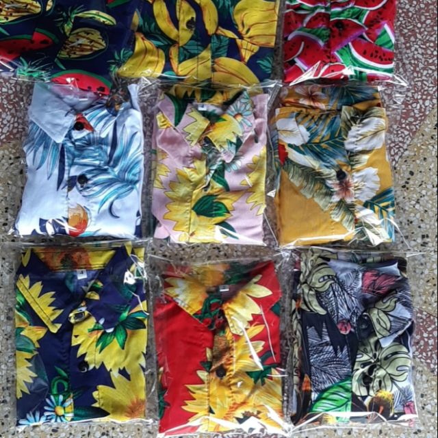 50 bộ trái cây