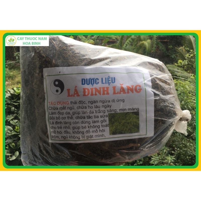 Lá đinh lăng khô 1 kg nguyên chât loại 1